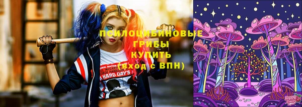 гашишное масло Краснослободск