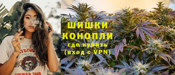 индика Красноперекопск