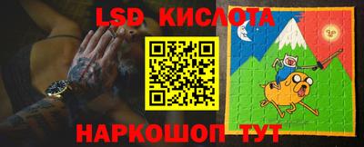 тгк Бийск