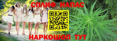 тгк Бийск