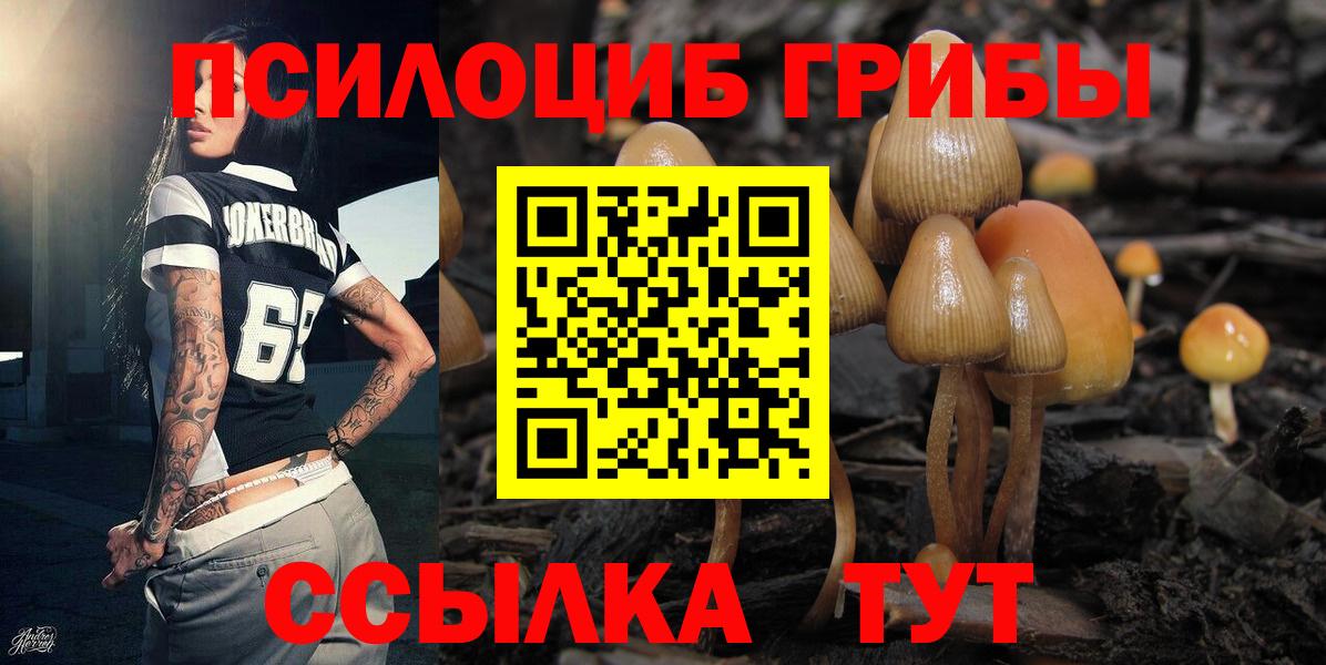 Белогорск  Галлюциногенные грибы Cubensis  Вход с VPN 